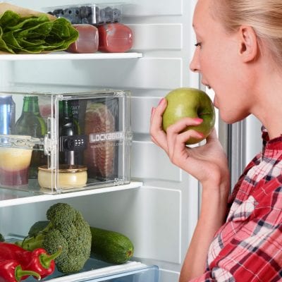 lockabox fridge