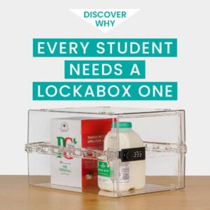 lockable food box | fridge lock box