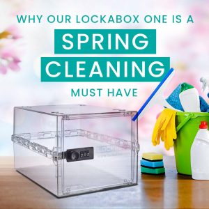 Spring cleaning | storage box